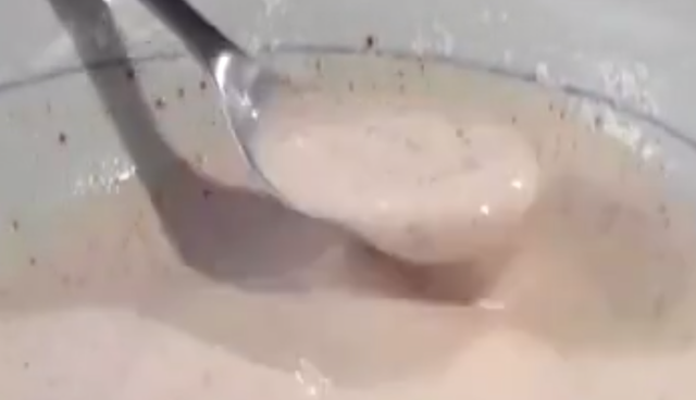 Tempura de bianchetti