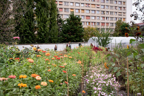 La Ferme Florale Plein Air