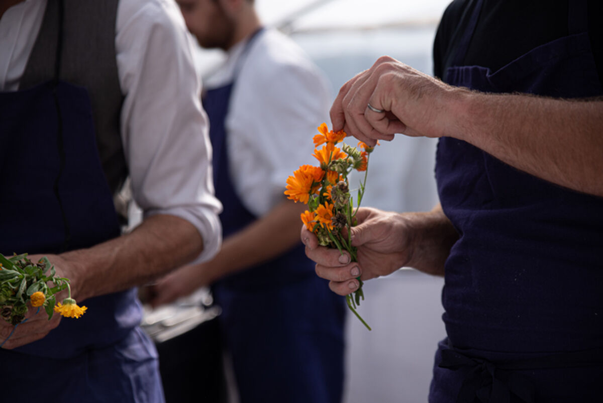 Fleurs comestibles