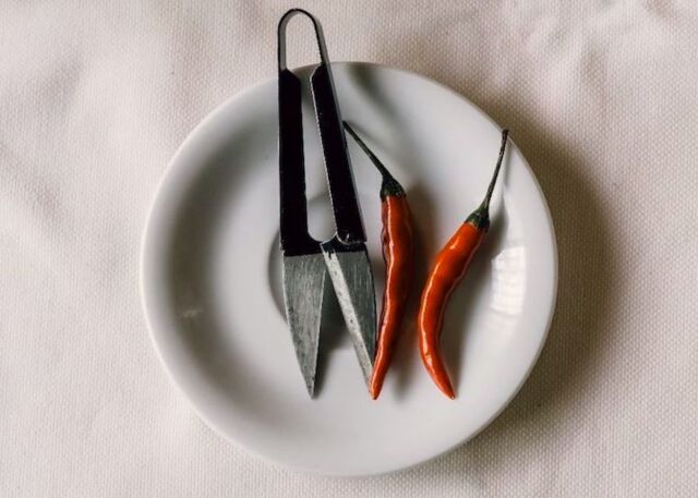 Traité du chaud piquant à l'usage des pyromaniaques