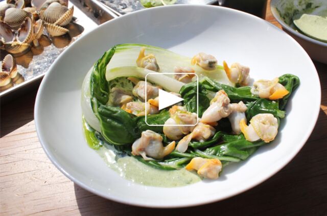 Coques, blette, livèche