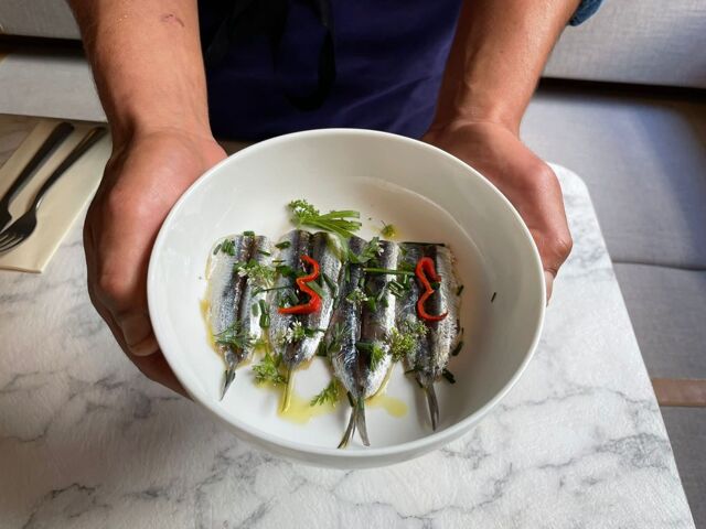 Anchois frais marinés