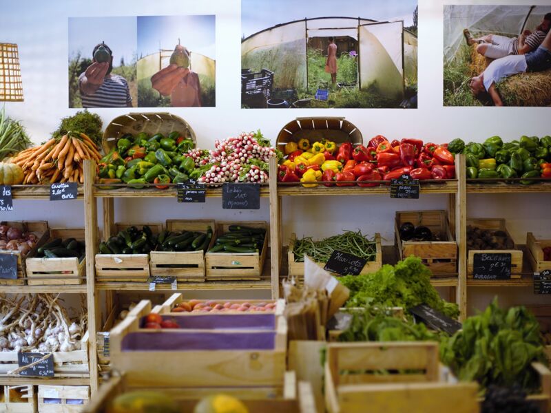 Les Pissenlits (Marseille)