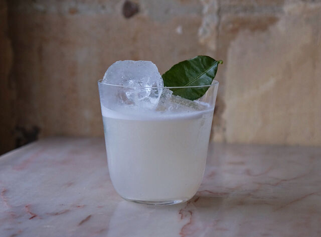 Saison des Verseau : Gin, génépi, sirop de miel