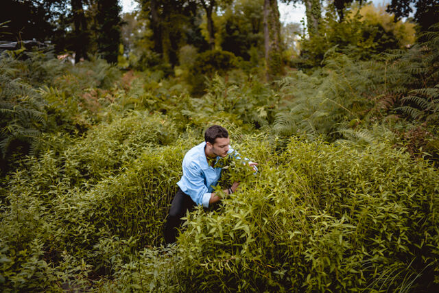 Félix Clerc : Un cueilleur dans la ville