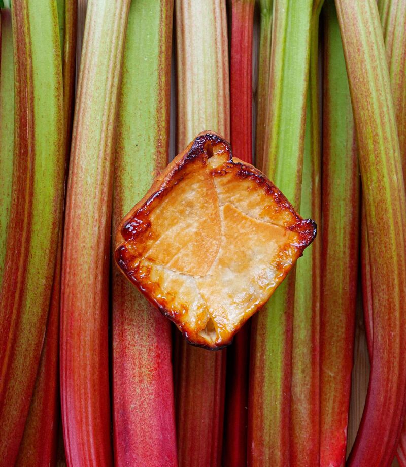 Le pommé Cancalais à la rhubarbe