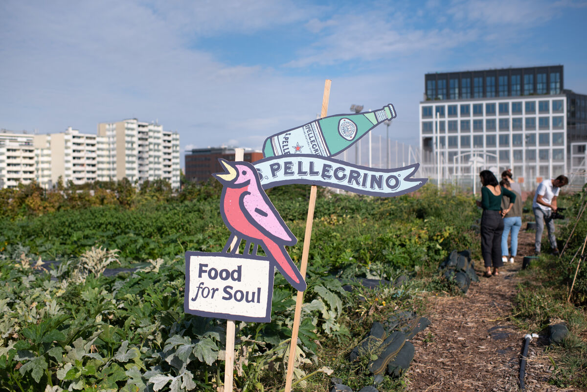 Exploration du potager de Plantation Paris  