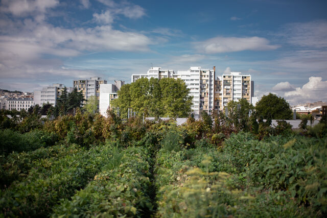 « Si on ne crée pas de vocations chez les nouvelles générations, on ne sera pas capable de nourrir la France… »