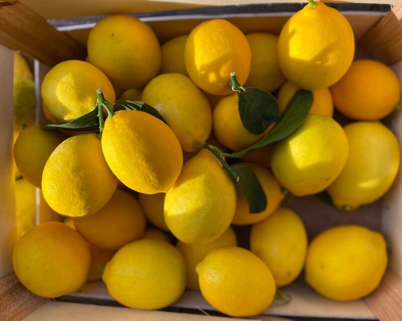 Épicerie Vivres (Paimpol)