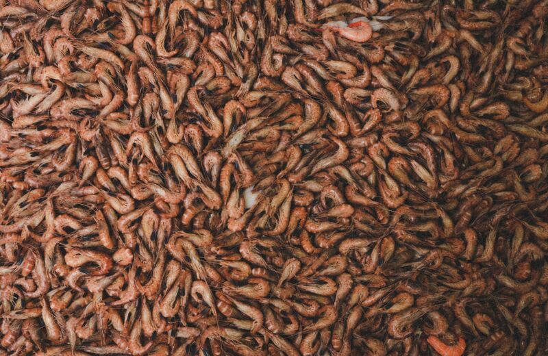 Mare Nostrum Fish Market (Koksijde)