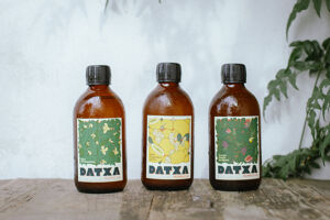 Aou, kombucha-cha-cha !