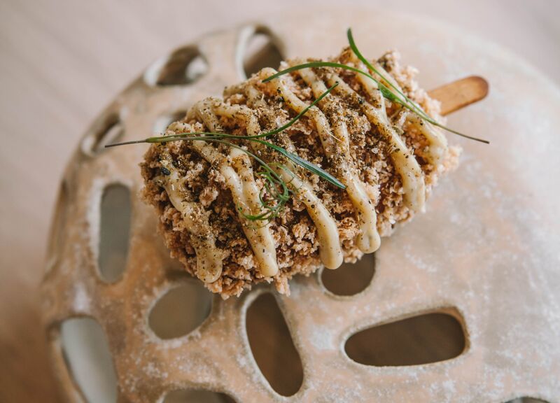 Terrae (Cambo-les-Bains)