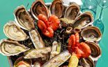 Coquillages Bouchet