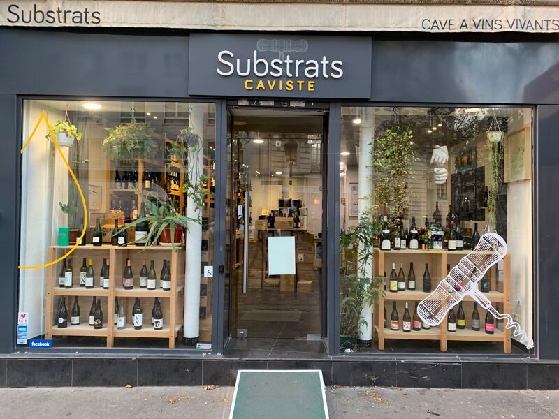 Wine Cellar Substrat Paris