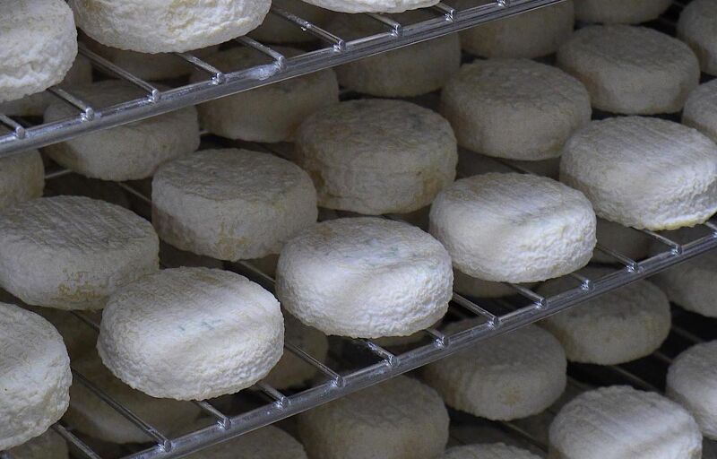 Fromagerie Alléosse (Paris)