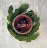 Les Filles en Bottes