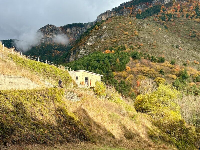 Maison de la Pia (Tende)